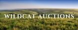 Wildcat Auctions logo